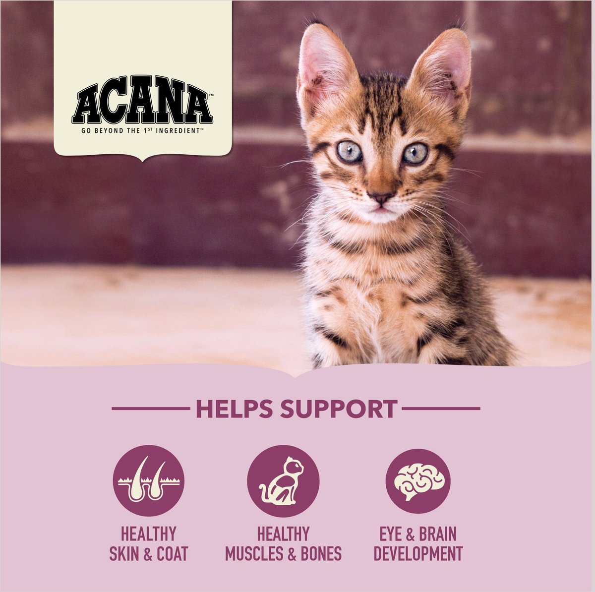 ACANA First Feast High-Protein Kitten Dry Cat Food