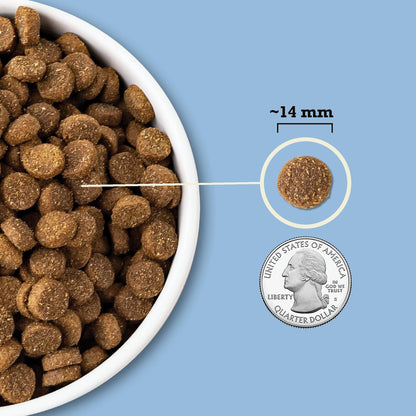 ACANA Singles + Wholesome Grains LID Duck & Pumpkin Dry Dog Food