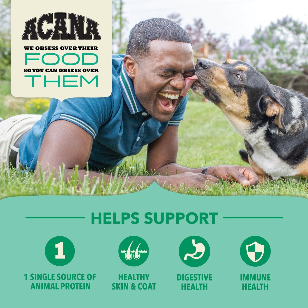 ACANA Singles + Wholesome Grains LID Lamb & Pumpkin Dry Dog Food