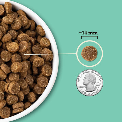 ACANA Singles + Wholesome Grains LID Lamb & Pumpkin Dry Dog Food