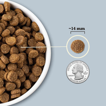 ACANA Wholesome Grains Sea to Stream Dry Dog Food