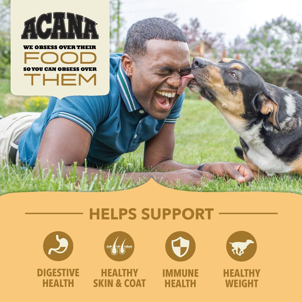 ACANA Wholesome Grains Free-Run Poultry Dry Dog Food