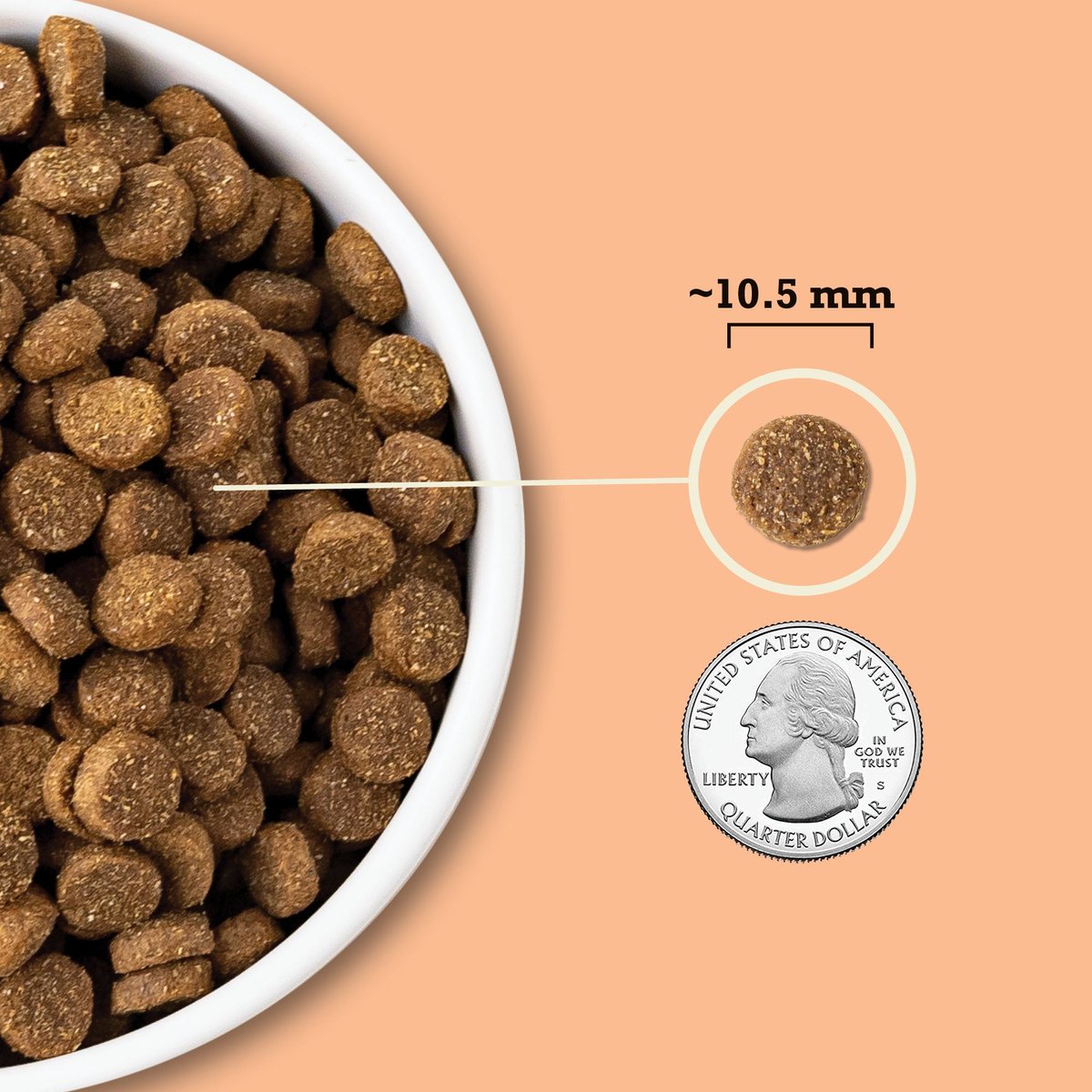 ACANA Wholesome Grains Puppy Dry Dog Food