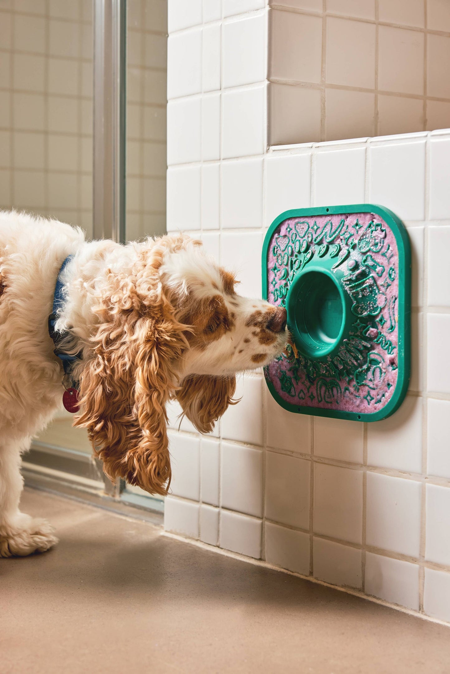 Woof LickMat Slow Feeder