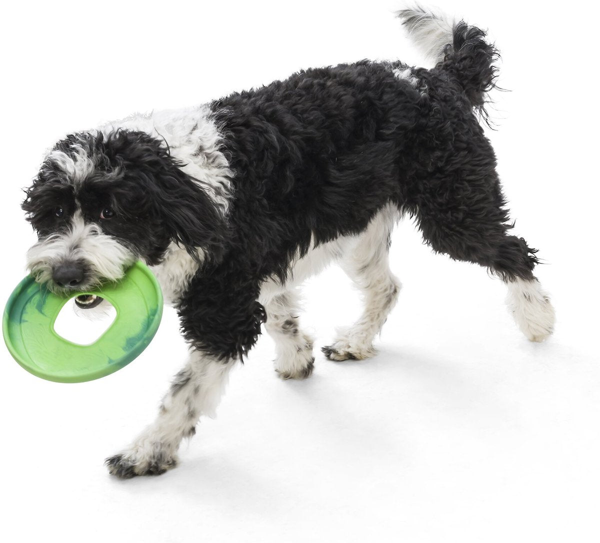 West Paw Sailz Dog Fetch Toy, Large