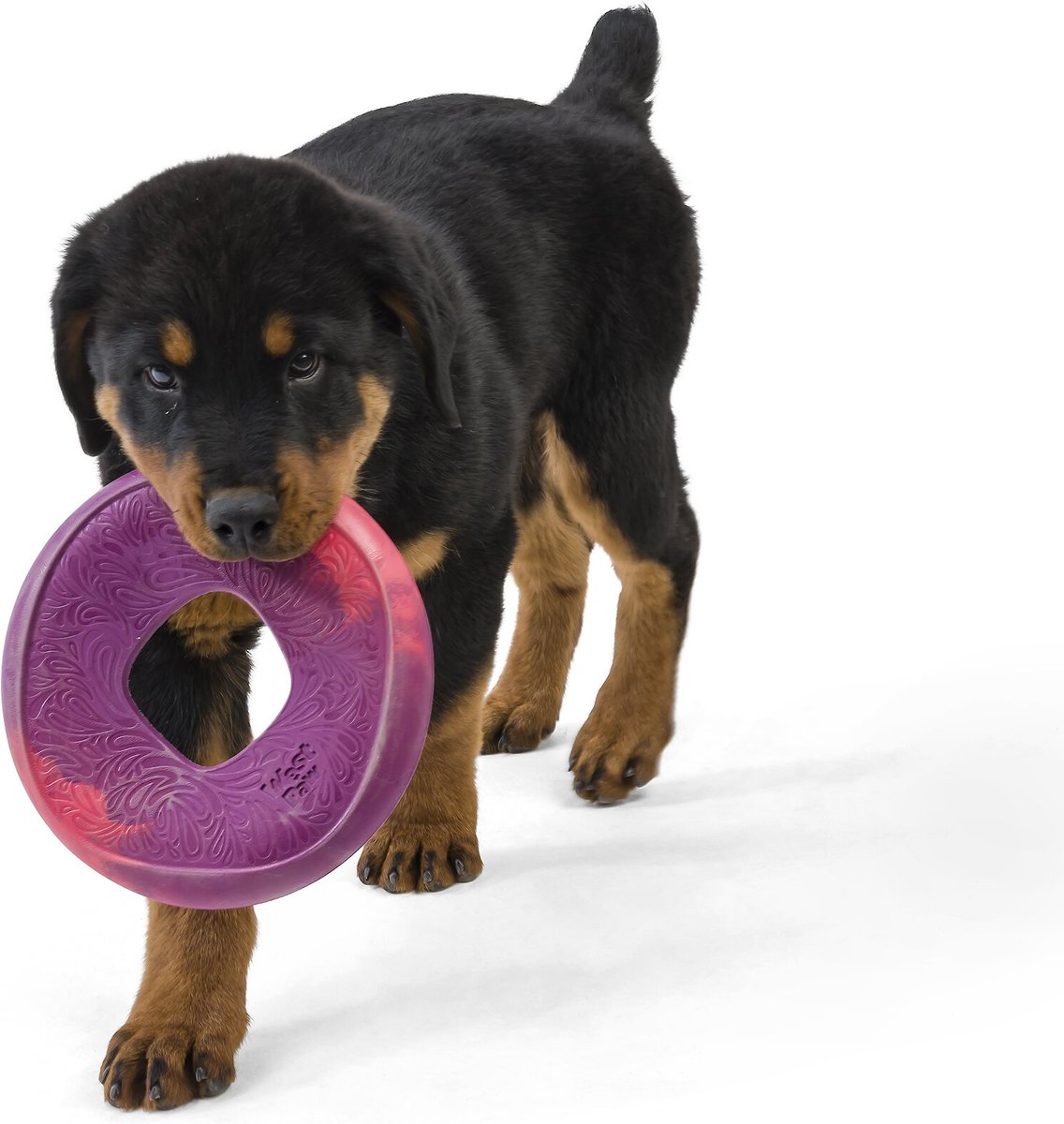 West Paw Sailz Dog Fetch Toy, Large