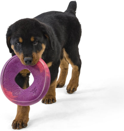 West Paw Sailz Dog Fetch Toy, Large