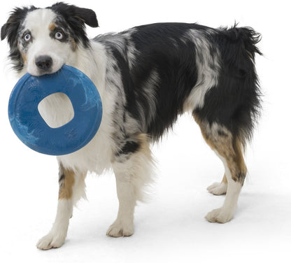 West Paw Sailz Dog Fetch Toy, Large