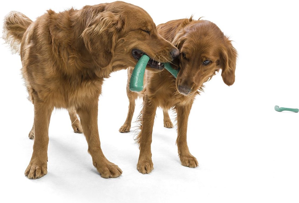 West Paw Snorkl Dog Chew Toy