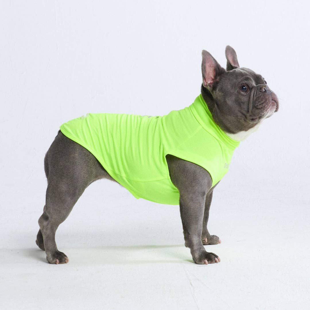 Spark Paws Sunblock Dog T-Shirt - Neon