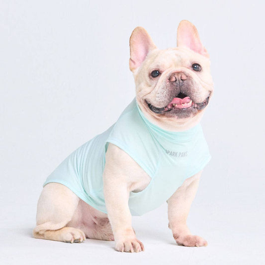 Spark Paws Sunblock Dog T-Shirt - Baby Blue