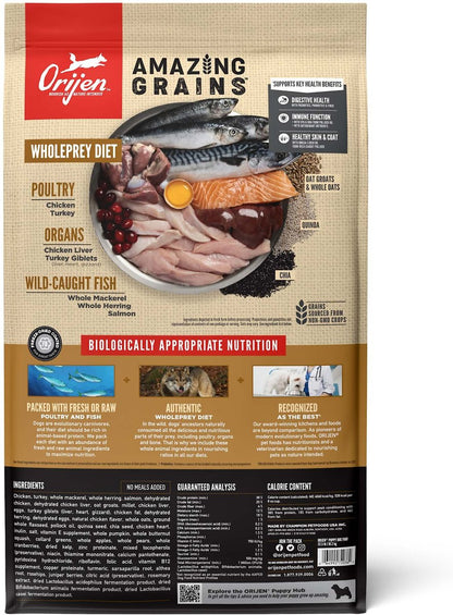 Orijen Dog Amazing Grains Puppy Dry Food