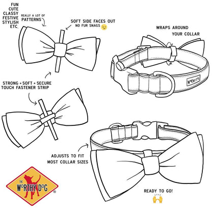 Worthy Dog - Rainbow Bow Tie
