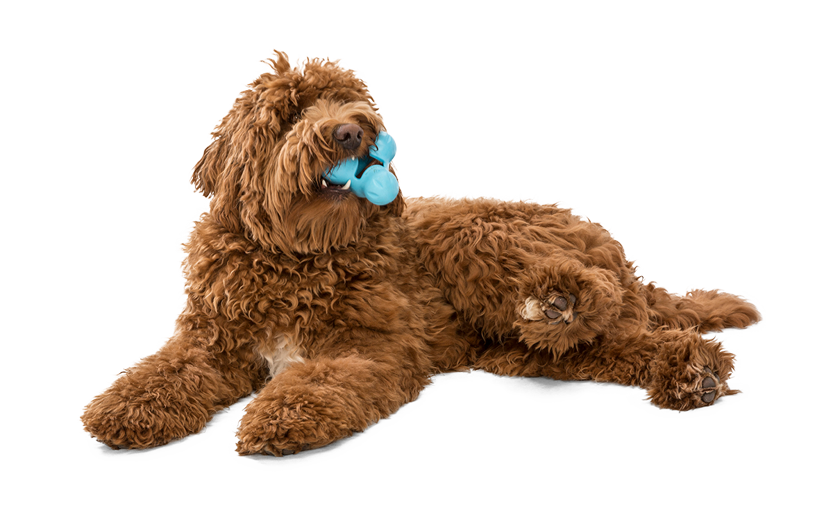 West Paw Tux Puzzle Treat-Dispensing Dog Toy