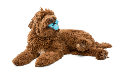 West Paw Tux Puzzle Treat-Dispensing Dog Toy
