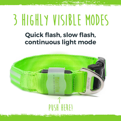 Mighty Paw LED Dog Collar