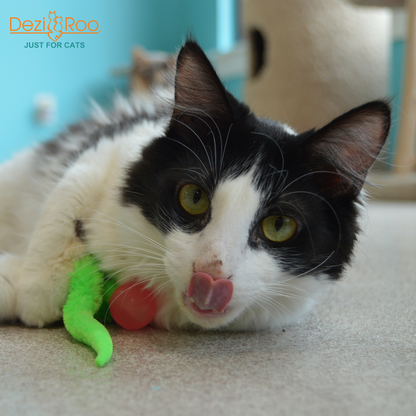 Dezi & Roo Cat Glow in the Dark Cat Toy