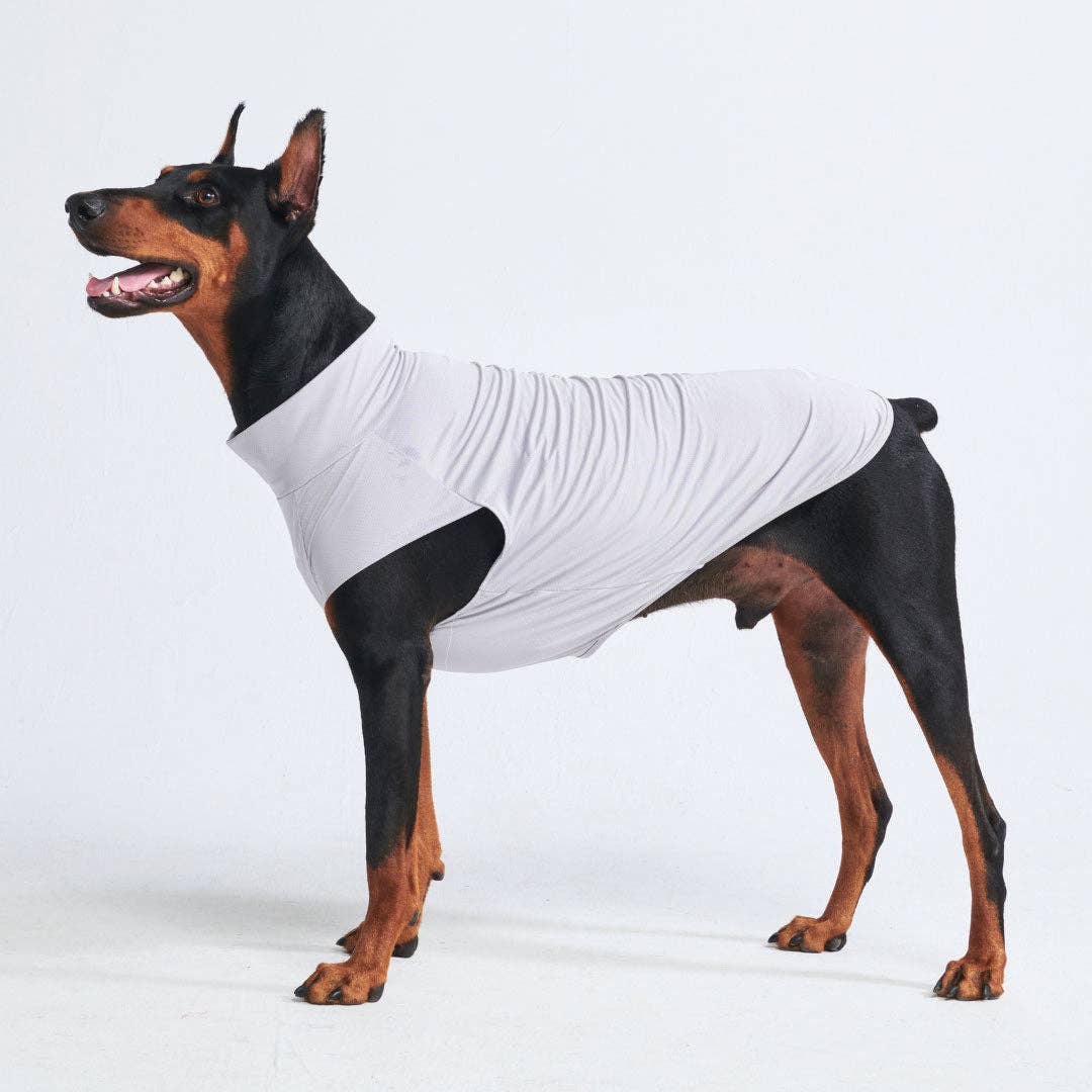 Spark Paws Sunblock Dog T-Shirt - Grey