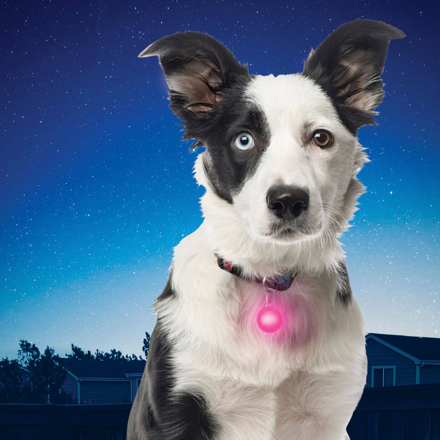 Nite Ize SpotLit LED Collar Safety Light - Pink