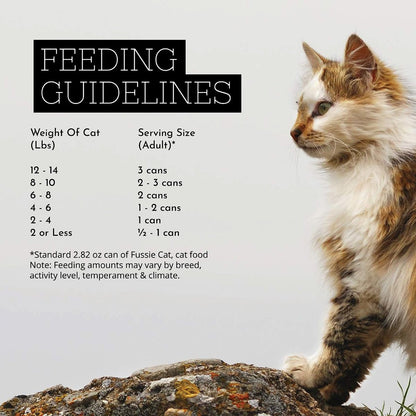 Fussie Cat Premium Tuna with Chicken Canned Food