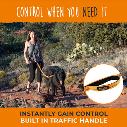 Mighty Paw Hands Free Bungee Leash 2.0