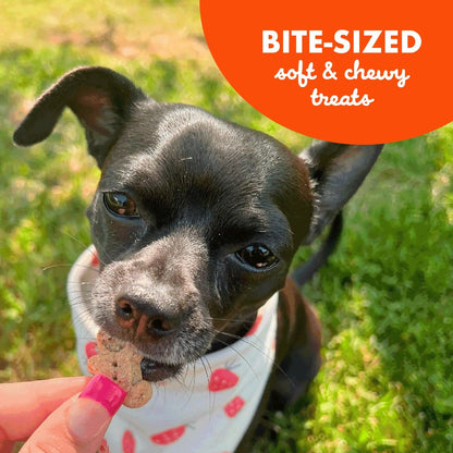 Buddy Biscuits Softies with Peanut Butter Soft & Chewy Dog Treats