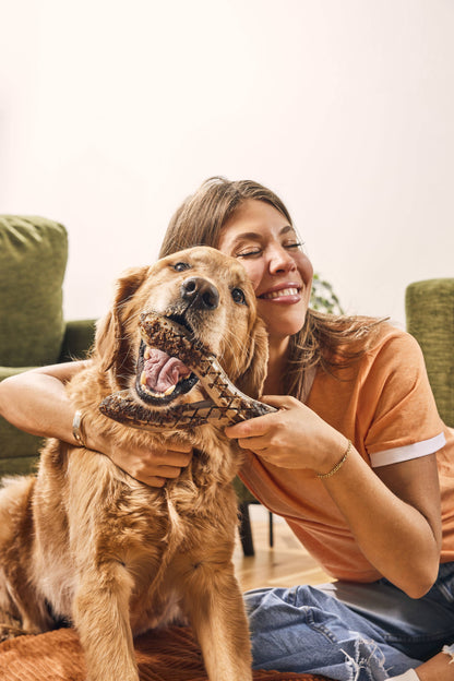 Woof HonestChew Meaty Beef Antler-shaped Plant-based Dog Chew Bone with Meat Covering