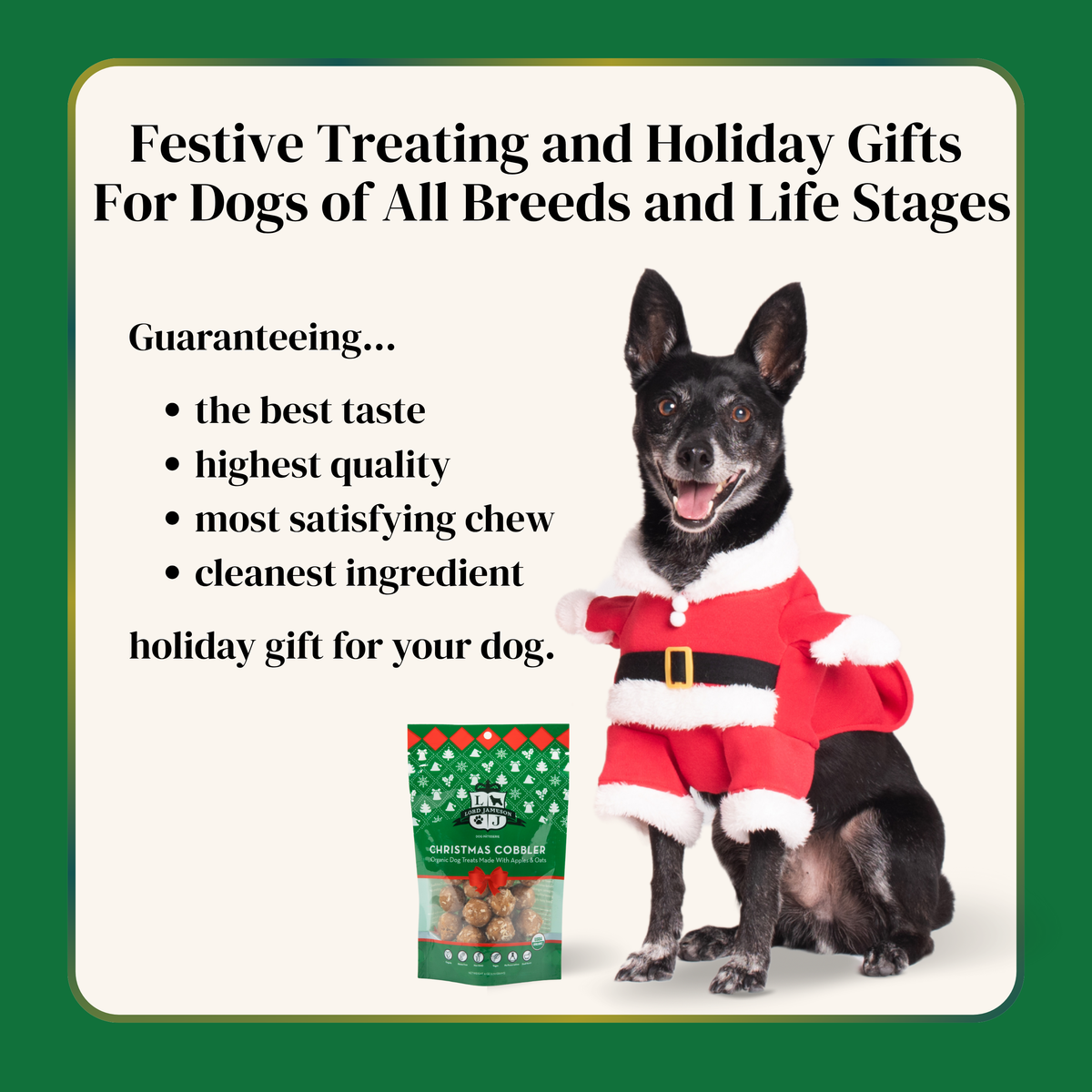 Lord Jameson Christmas Cobbler Organic Soft & Chewy Dog Treats 6oz