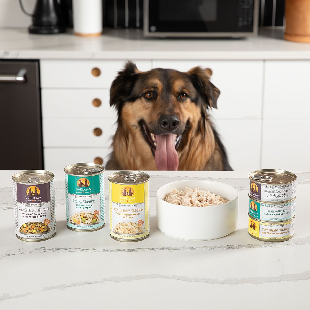 Weruva Dog Jammin' Salmon with Chicken and Salmon Grain-Free Canned Food