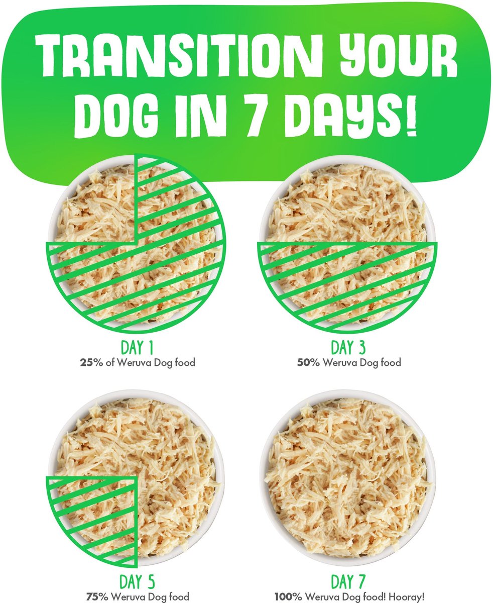 Weruva Dog Jammin' Salmon with Chicken and Salmon Grain-Free Canned Food