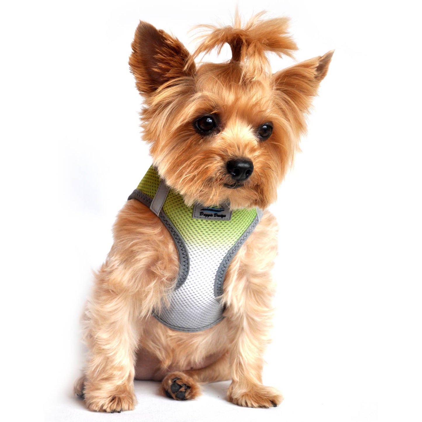 Doggie Design American River Ombre Dog Harness - Limestone Gray