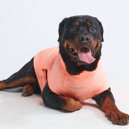 Spark Paws Sunblock Dog T-Shirt - Peach