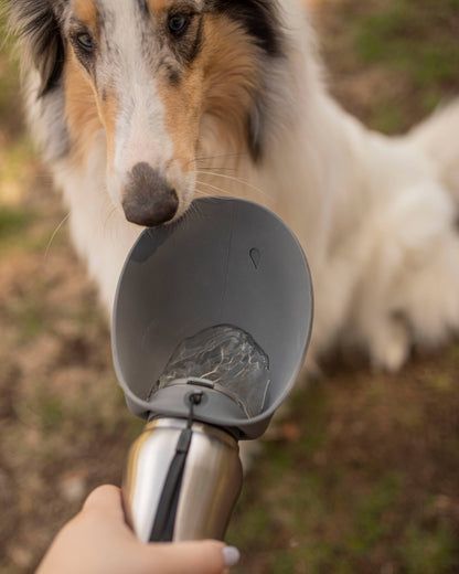 Messy Mutts Dog Stainless w/Silicone Travel Water Bottle