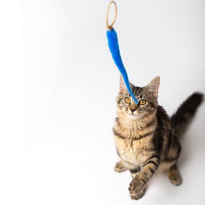 A-Lure-Ring - Ring with tail - Wand Attachment toy