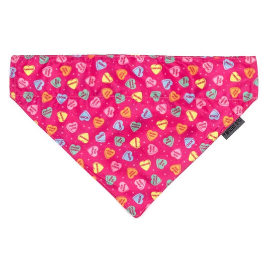 Worthy Dog - Puppy Love Bandana