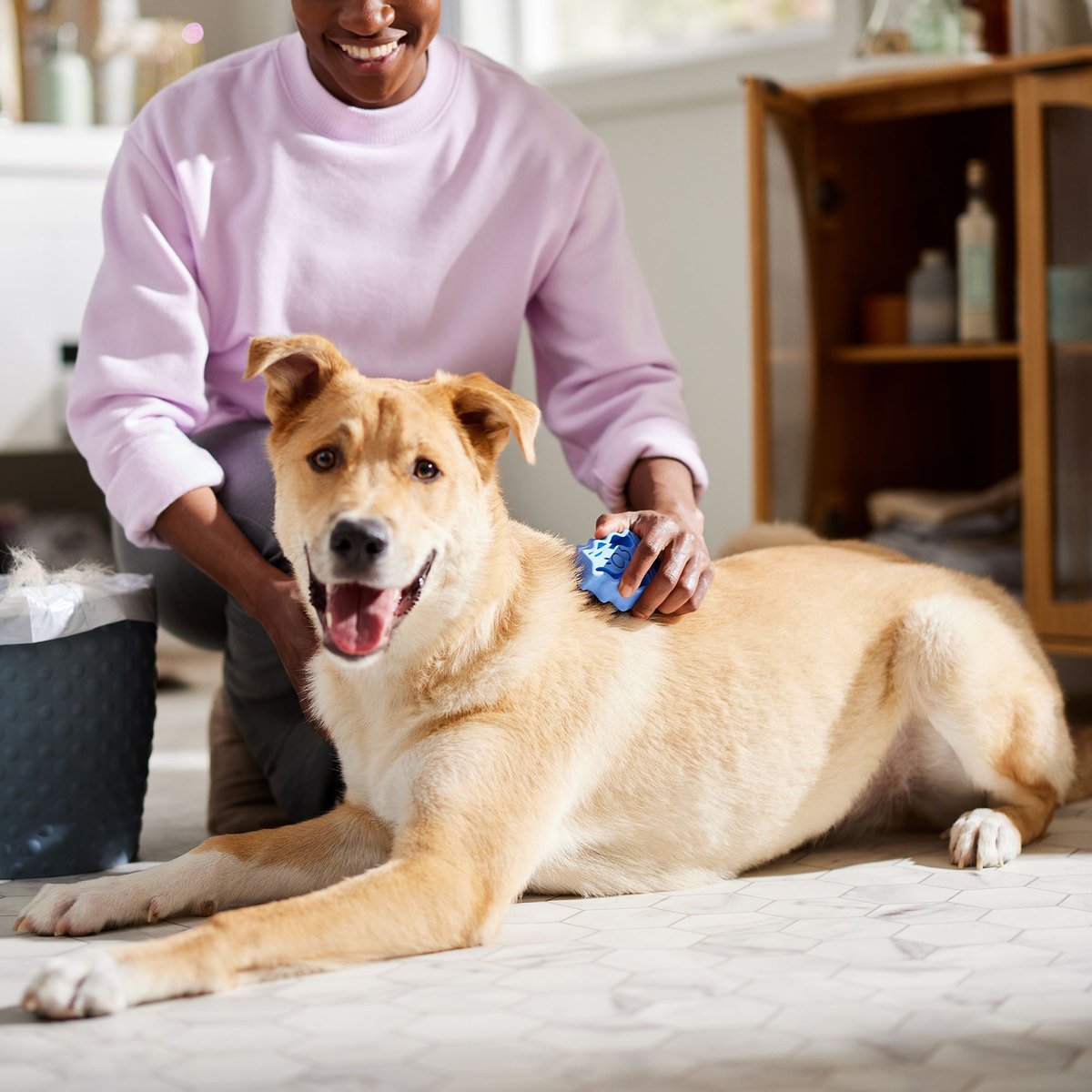 KONG Dog ZoomGroom Multi-Use Brush