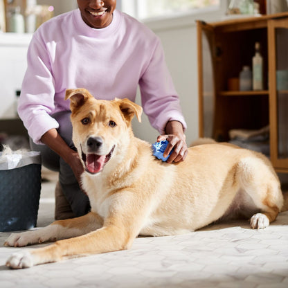 KONG Dog ZoomGroom Multi-Use Brush