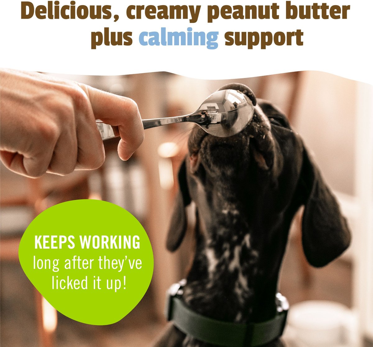 Pet Naturals Busy Butter Calming Peanut Butter, 1.5 oz.