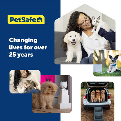 PetSafe Funkitty Egg-Cersizer Treat Dispenser Cat Toy