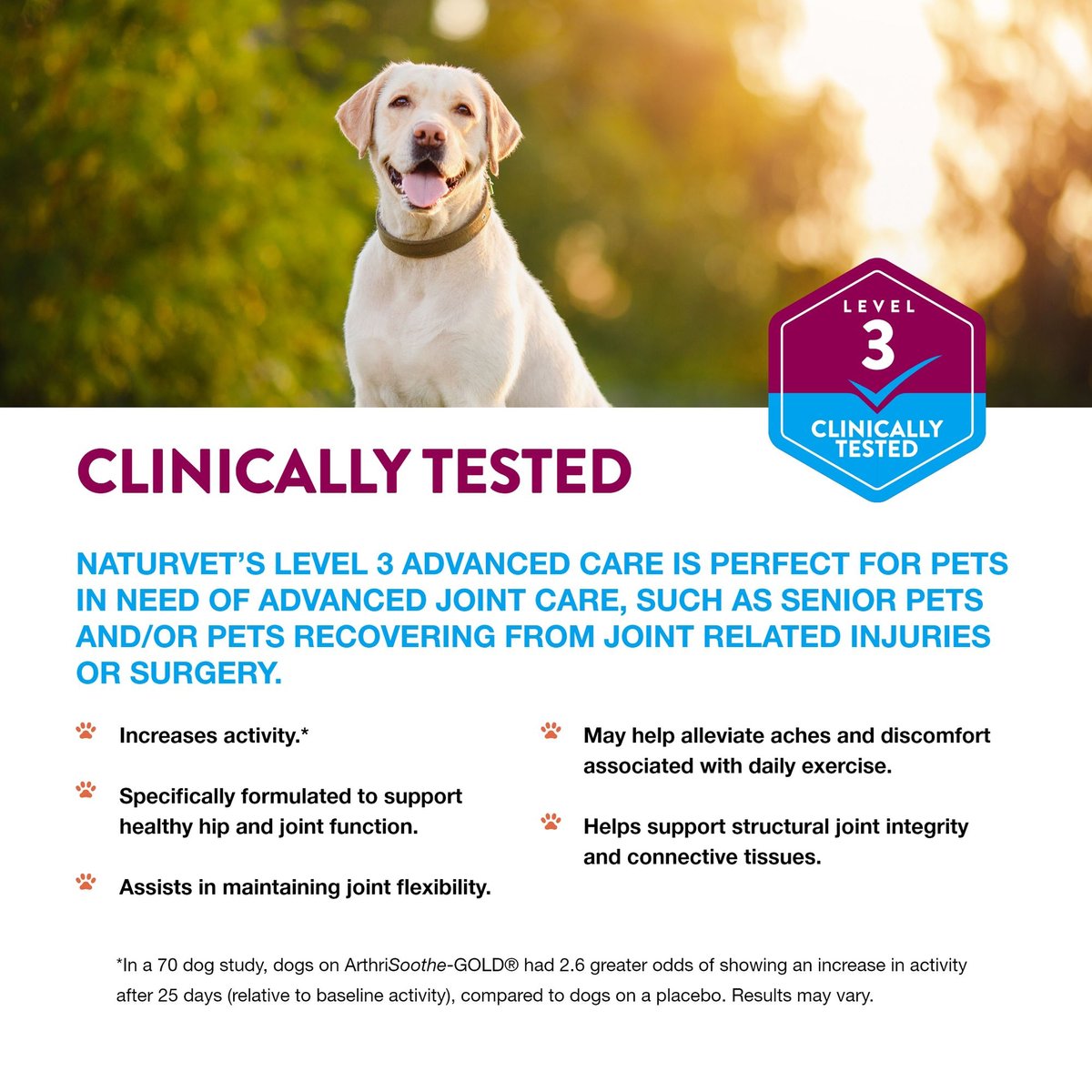 NaturVet ArthriSoothe Gold Advanced Joint Care Chews for Dogs and Cats