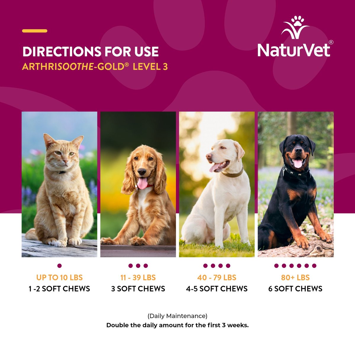 NaturVet ArthriSoothe Gold Advanced Joint Care Chews for Dogs and Cats