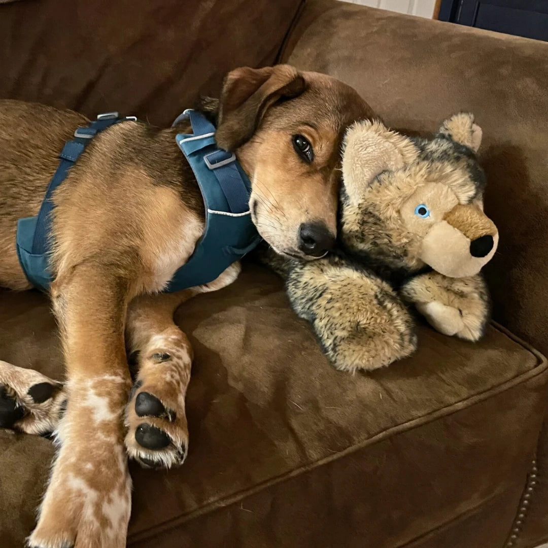 Fluff & Tuff "Lobo" Wolf Plush Dog Toy