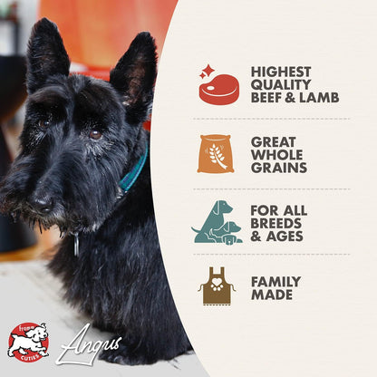Fromm Four-Star Highlander Beef Dry Dog Food