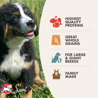Fromm Gold Large Breed Puppy Dry Dog Food