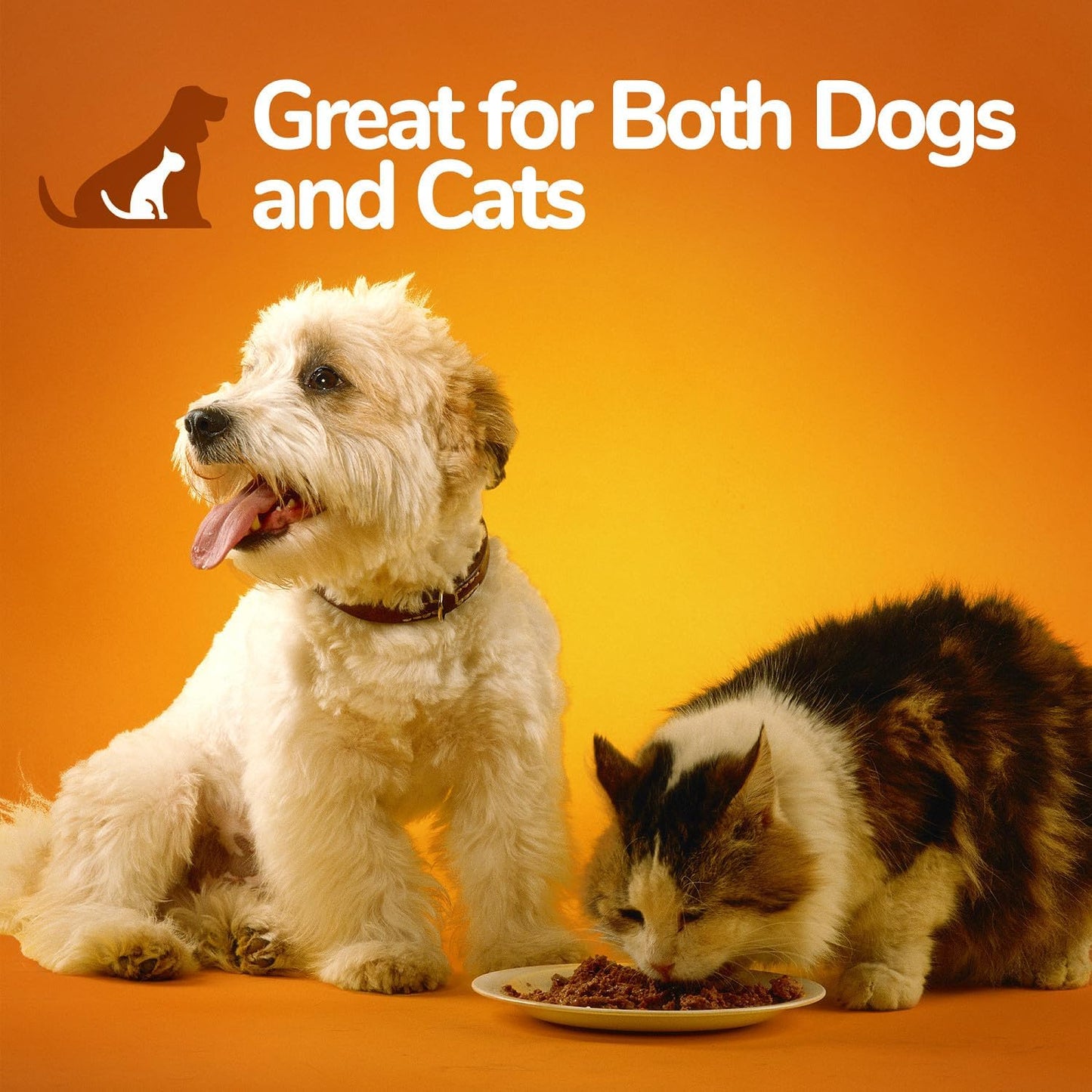 Fruitables Pumpkin and Ginger SuperBlend Digestive Supplement for Dogs and Cats