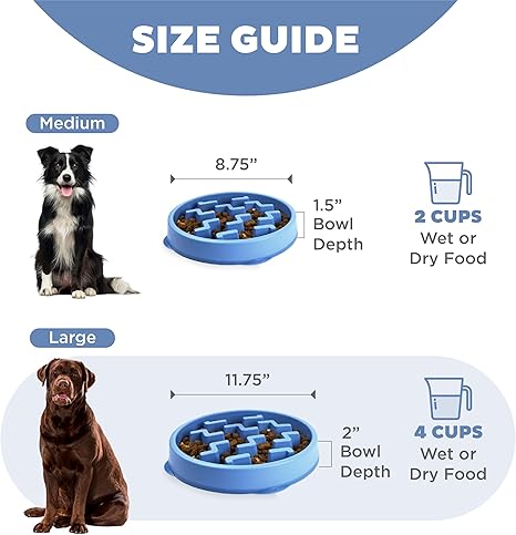 Outward Hound Fun Feeder Slo Bowl Dog Feeder, Blue, Large