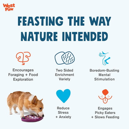 West Paw Feast Mat Dog Slow Feeder and Lick Mat, Waves