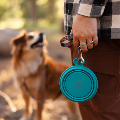 Messy Mutts Dog Silicone Collapsible Bowl
