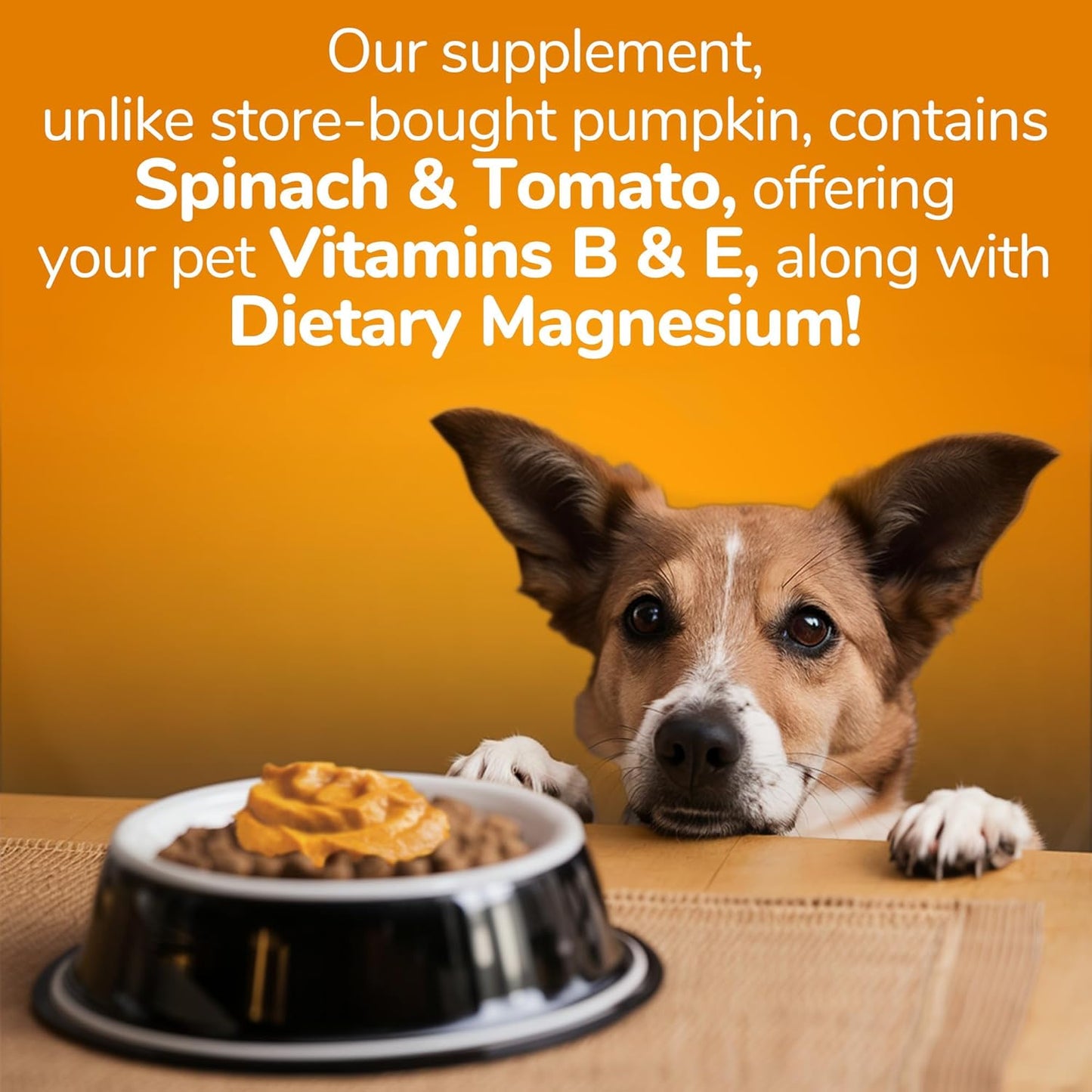 Fruitables Pumpkin and Ginger SuperBlend Digestive Supplement for Dogs and Cats