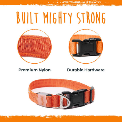Mighty Paw LED Dog Collar